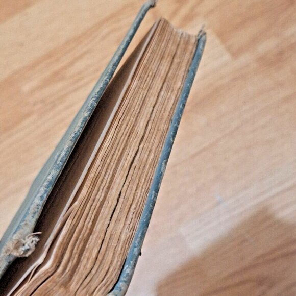 Lumberman's Dog Hardcover William Marshall Rush First Edition - Picture 8 of 13